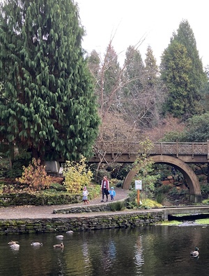 Water, ducks, trees, arched bridge, and three small figures walking in Crystal Springs Rhododendron Garden